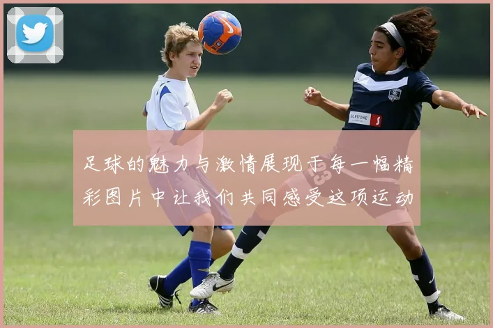足球的魅力与激情展现于每一幅精彩图片中让我们共同感受这项运动的魅力与热情